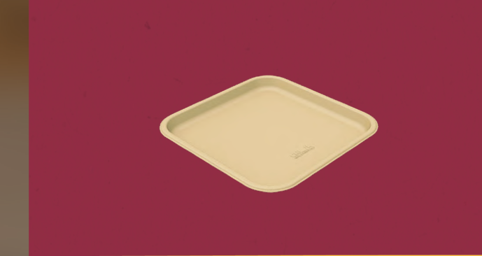 11" Plate