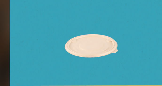 500 ml Container (Round) Lid