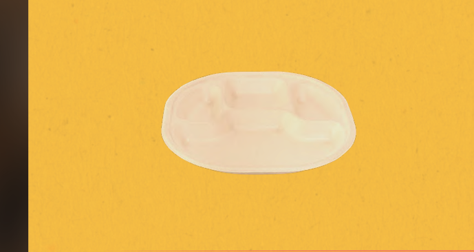 4 CP Chausar Meal Tray