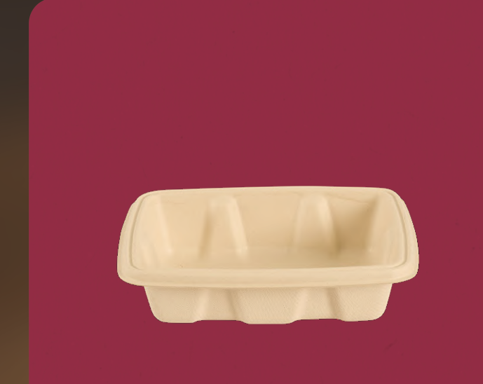 500 ml Container (Rectangular)