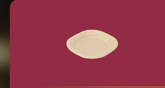 6" Plate